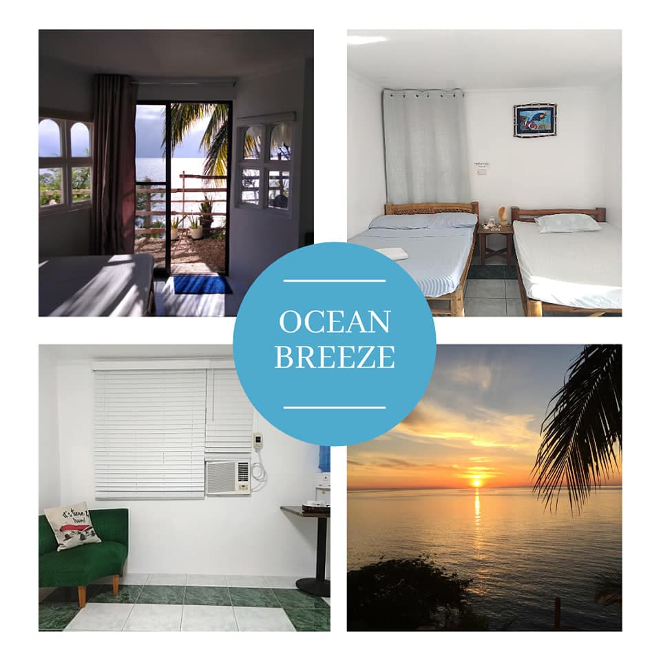 Ocean Breeze